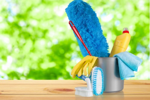 Professional mattress cleaning for a W12 home bedroom