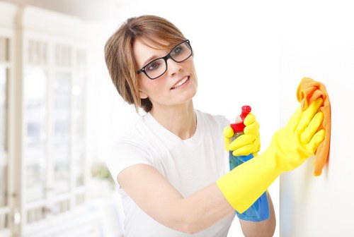 Carpet and rug pet stain treatment for a Shepherd’s Bush property