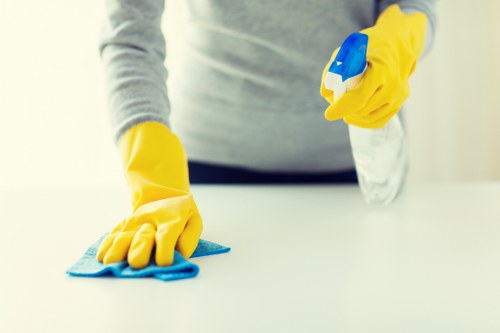 Local cleaner working in a W12 residential property