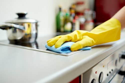 Deep cleaning treatment for pet urine stains in a W12 flat