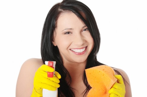 Sustainable cleaning and recycling practices in West London