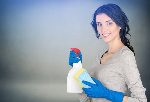 Soft washing a façade on a residential or commercial building